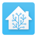 Home Assistant Logo.png